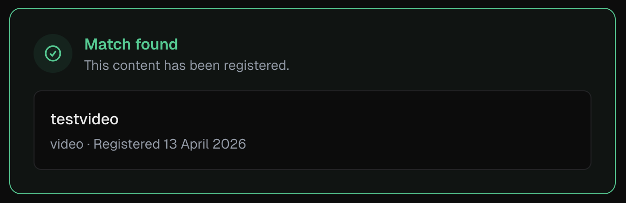Screenshot of a successfully matched file